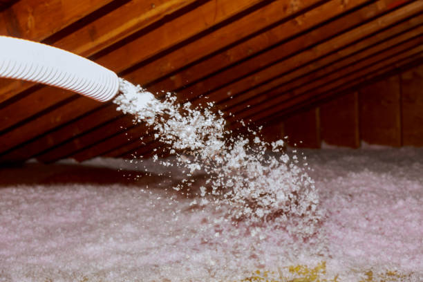 Best Insulation Replacement Services  in Lancaster, SC