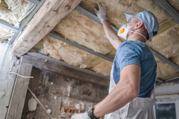 Best Fiberglass Insulation  in Lancaster, SC