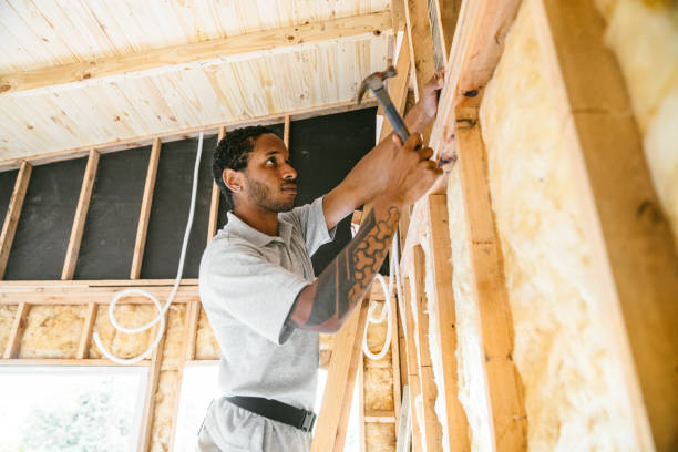 Best Home Insulation Services  in Lancaster, SC