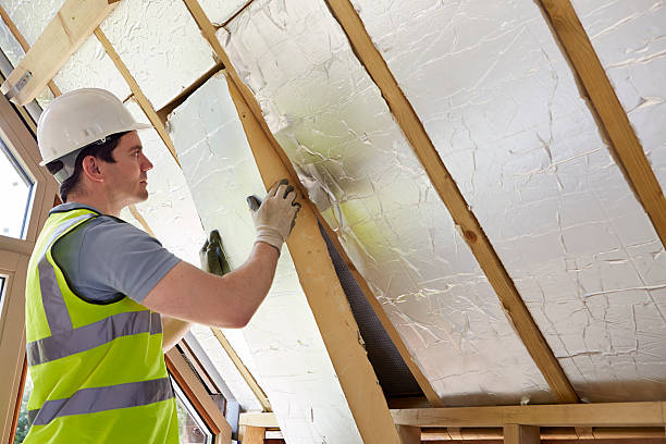 Best Insulation Contractor Near Me  in Lancaster, SC